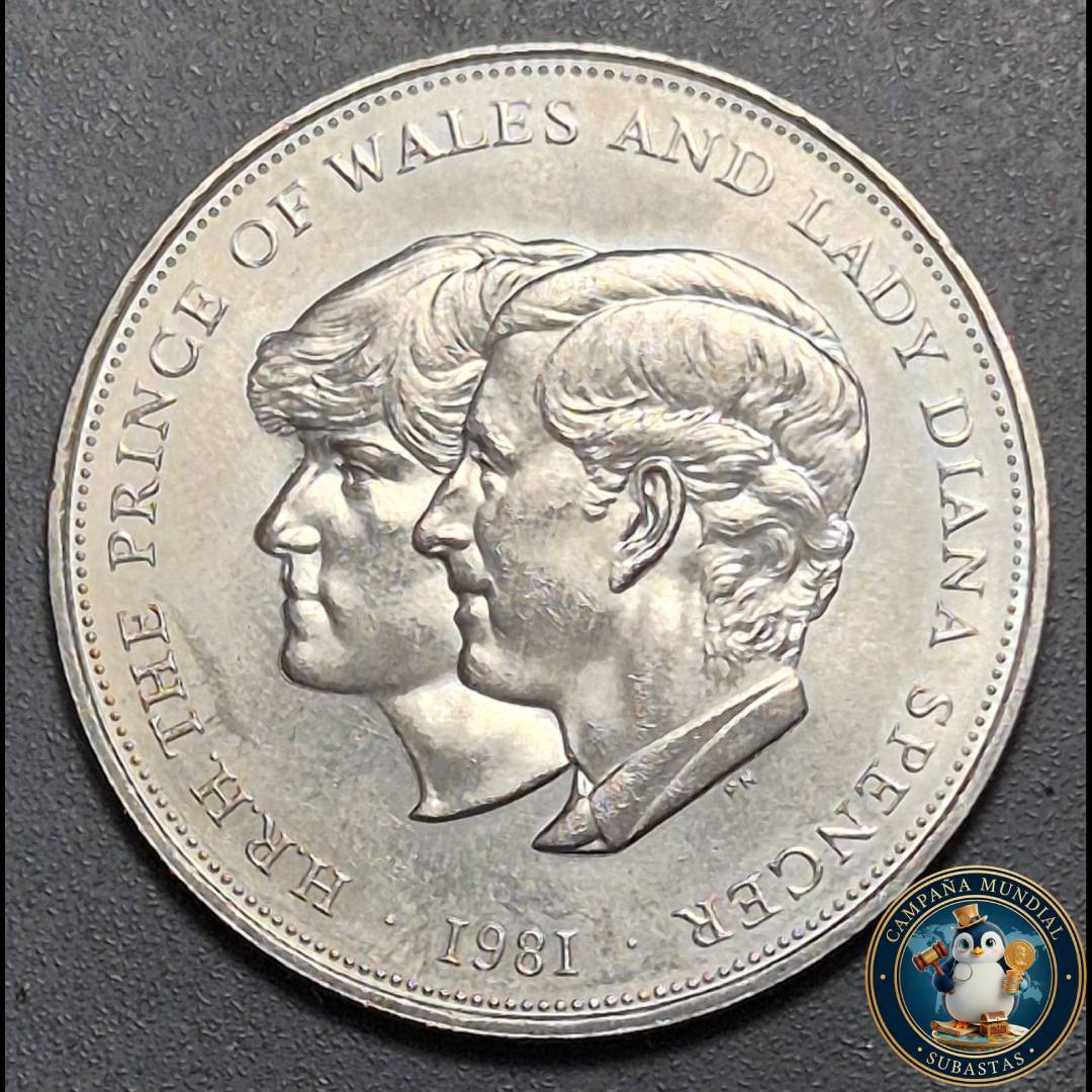 B1108 CELEBRACIÓN DE LA BODA DEL PRINCIPE DE WALLES Y LA LADY DIANA SPENCER   AÑO 1981     ENGLAND