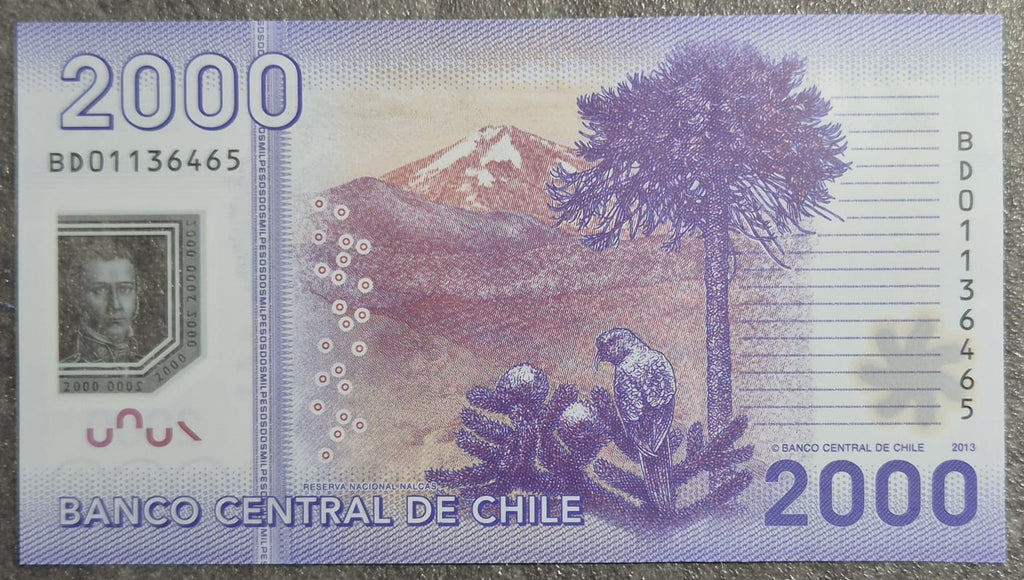 C341 .- BILLETE DE 2000 PESOS AÑO: 2013  FIRMAS: VERGARA--ZURBUCHEN  UNC CHILE