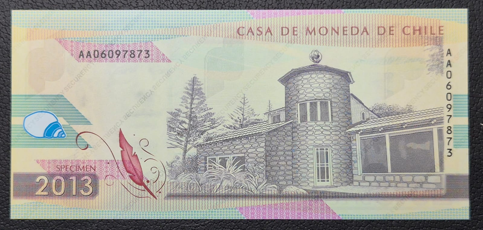 C367 .- IMPRESO PABLO NERUDA SPECIMEN AÑO 2013   UNC   CHILE