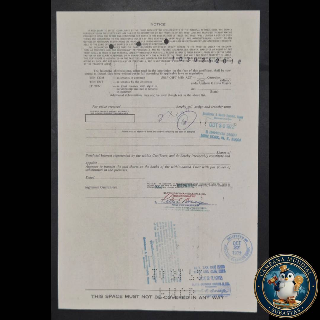 D1338 $100 EN ACCIONES DE BUILDERS INVESTMENT GROUP DE COLECCIÓN    USA