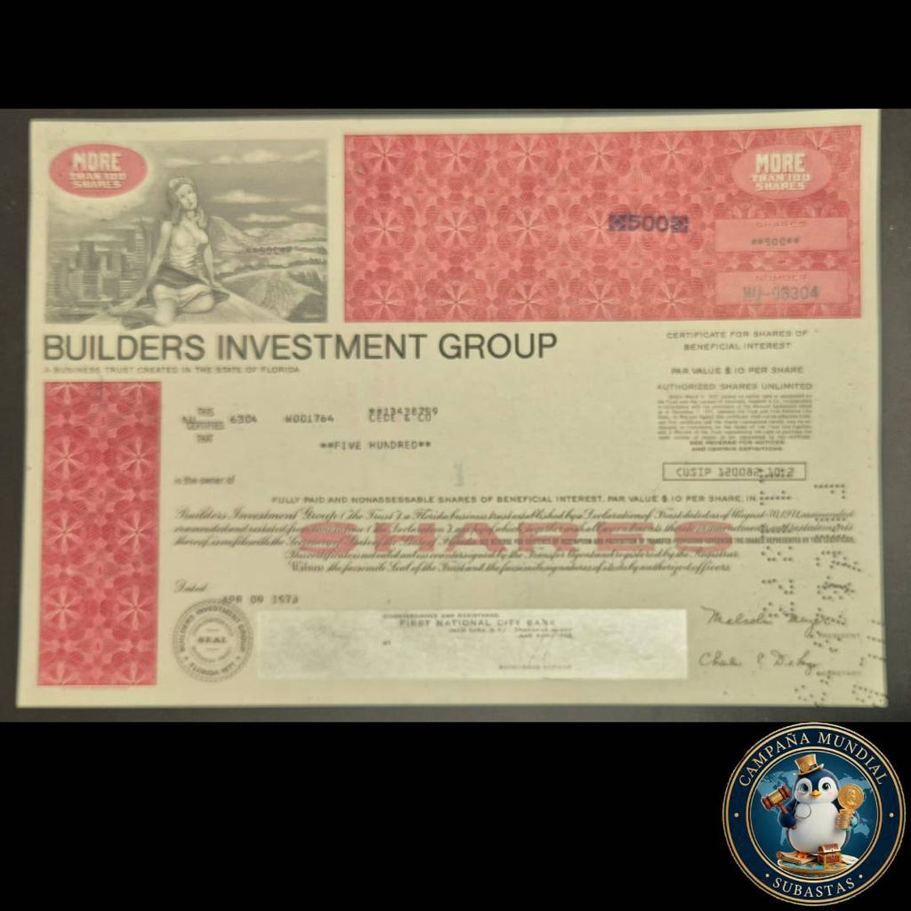 D1340 $500 EN ACCIONES DE BUILDERS INVESTMENT GROUP DE COLECCIÓN    USA