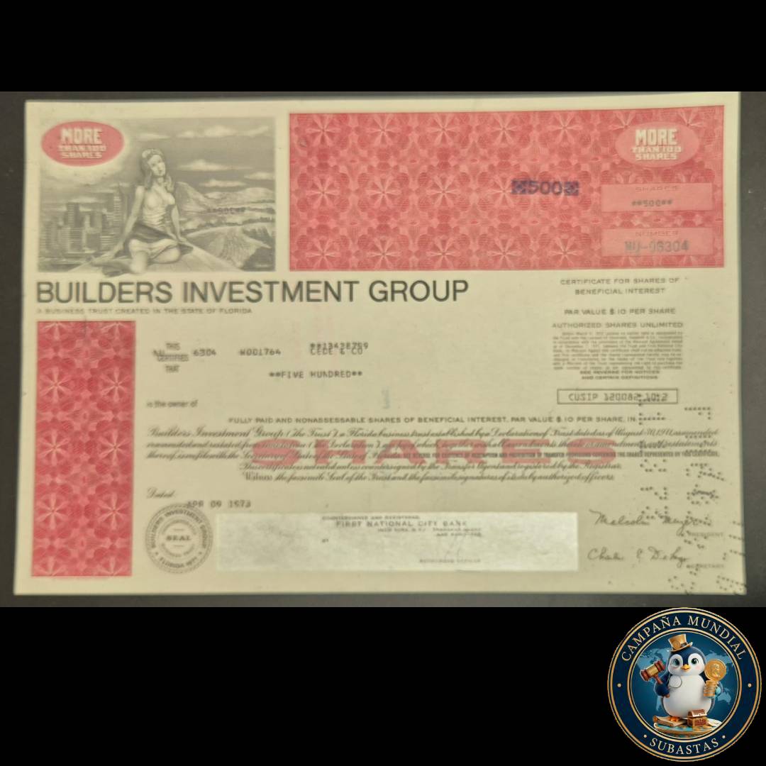 D1340 $500 EN ACCIONES DE BUILDERS INVESTMENT GROUP DE COLECCIÓN    USA