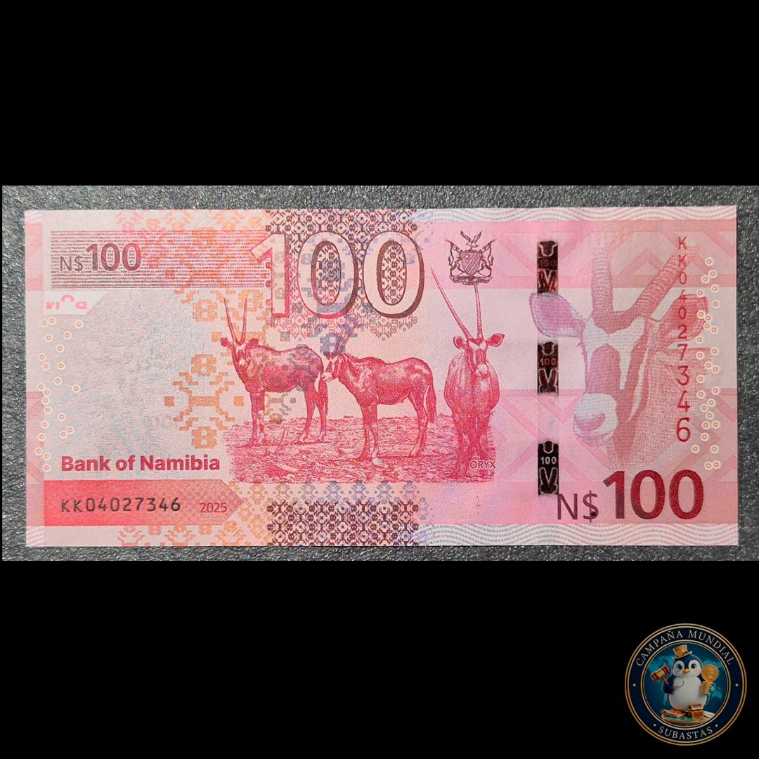 D478 .- BILLETE DE 100 DOLARES DE NAMIBIA.   UNC   NAMIBIA